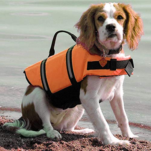 Warmiehomy Chaleco Salvavidas para Perro con Flotador Delantero, Perros Seguridad Natación Ropa con Quick Release Ajuste Fácil Cinturón Ajustable (Naranja)