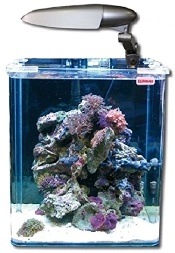 Wave Box Cubo 30 Marino Cosmos Acuario para acuariofilia