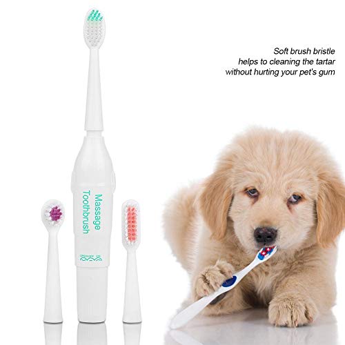 Wchiuoe Cepillo de Dientes eléctrico para Perros, cálculo Dental ultrasónico y removedor de Placa, Kit de cepillos de Dientes con tecnología para Mascotas con 2 Cabezales limpios (Verde)