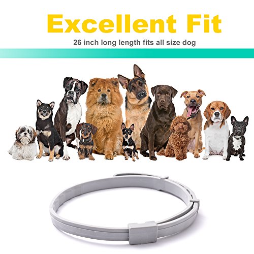 WOLFWILL Collar de Pulgas y Garrapatas para Perro,Acción Prolongada 10 Meses de Protección y Prevención contra Pulgas Garrapatas,Piojos,Talla Única para Todos,Ajustable, Impermeable