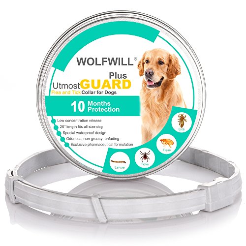 WOLFWILL Collar de Pulgas y Garrapatas para Perro,Acción Prolongada 10 Meses de Protección y Prevención contra Pulgas Garrapatas,Piojos,Talla Única para Todos,Ajustable, Impermeable