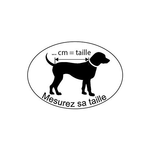 Wouapy - Abrigo con diseño de Mostaza, Talla L, Protege a tu Perro de Las Intemperias para Perros