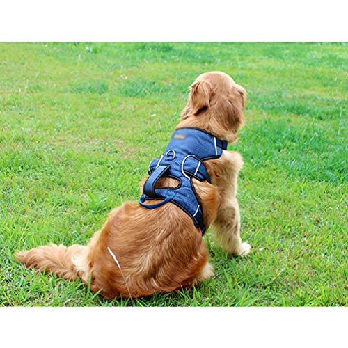 Yiqi Arnés de Perros Ajustable Chaleco Cómodo Transpirable Arnés Reflectante Control Fácil para Perro Mediano Grande (Azul Oscuro, Asia S)