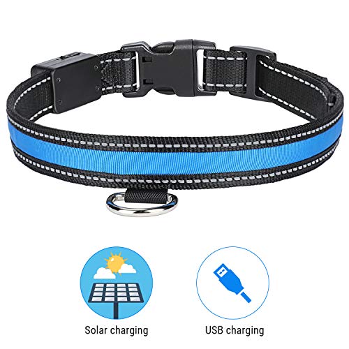 YOUTHINK Collar de Perro LED Collar de Perro Resistente al Agua Que Brilla Solar USB Recargable Luz LED Intermitente Noche de Seguridad Collares de Nylon para Mascotas (Azul, L)