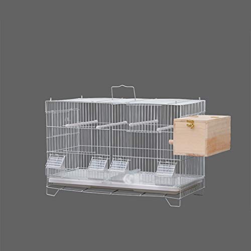 Yuanjiashop Jaula para Loro Villa cría Inicio Jaula for pájaros, Ideal for Periquitos, Canarios, pinzones Cebra y pájaros más pequeños.Incluye Perchas y Cuencos for su Comida Accesorios para Pájaros