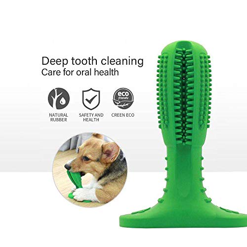 ZHWUEU Cepillo de Dientes para Perros Dog Brushing Stick-Limpieza de Dientes de Perro Juguetes para Masticar Cuidado Oral para Mascotas Regalo de Amante de los Animalesverde (Toothbrush)