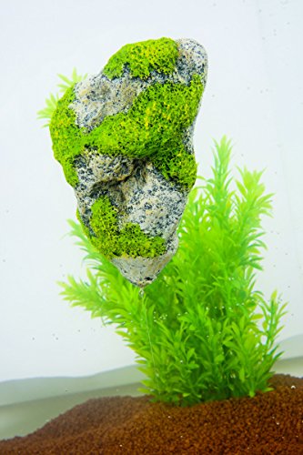 ZOLUX Roche Flotante para Acuario Talla L