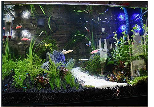 ZYMY Precioso Acuario Decorado con Arena Natural de Grava de Roca para pecera, Tortuga, Tanque de Paisaje, Parte Inferior o macetas, decoración de jardín, decoración de Piedras