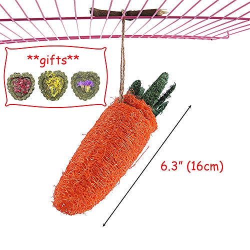 2 Paquetes de Juguetes Bunny Carrot + 3 Piezas de Pasteles de Hierba, pequeños Juguetes para Masticar Mascotas, Limpieza de Dientes para Masticar Varilla Molar