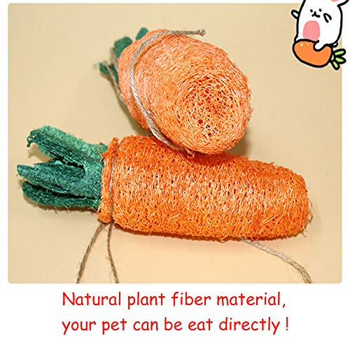 2 Paquetes de Juguetes Bunny Carrot + 3 Piezas de Pasteles de Hierba, pequeños Juguetes para Masticar Mascotas, Limpieza de Dientes para Masticar Varilla Molar