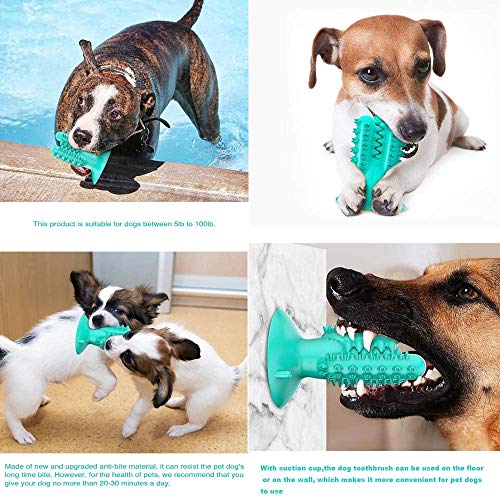 ABLUD 2pcs del Cactus del Perro del Cepillo de Dientes del Animal doméstico con Ventosa, Goma Chew Toys para Limpiar los Dientes y Formación,Azul