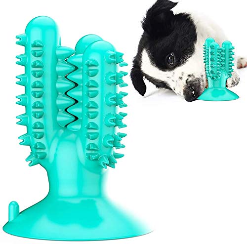 ABLUD 2pcs del Cactus del Perro del Cepillo de Dientes del Animal doméstico con Ventosa, Goma Chew Toys para Limpiar los Dientes y Formación,Azul