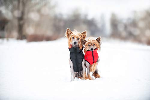 Abrigo Airyvest Reversible Ultraligero para Perro, Color Negro y Rojo, Talla 0 para Perro, Talla XS