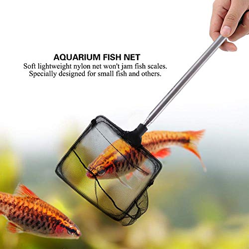 Acuario sacadera telescópica Red Fischer sacadera Fischer Red – Buitrón con brazo telescópico para peces Camarones