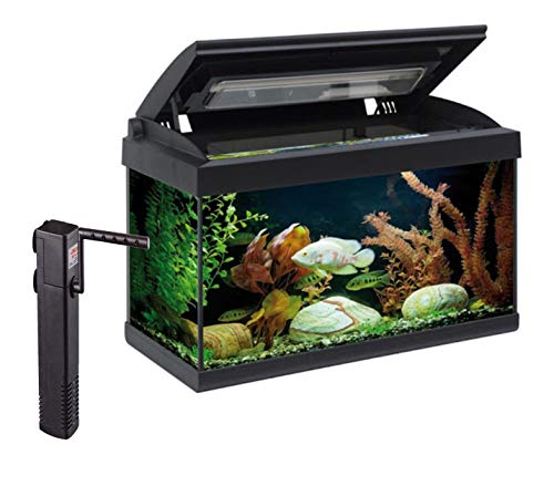 ACUARIOS ACUARIO STARTER COLD 60 LITROS TAPA LUZ LED Y FILTRO 650 L/H