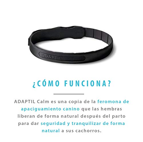 ADAPTIL Calm - Antiestrés para perros - Miedos, Ruidos Fuertes, Aprendizaje, Adopción - Collar M/L para Perros Medianos y Grandes