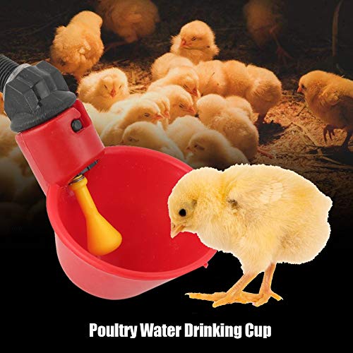 Aeloa Comedero de Pollo para bebederos de Pollo para bebederos de Aves 10PCS Comedero para bebederos de Agua para bebederos de Aves de Corral para Ganado Gallina de Pollo