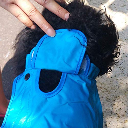 AEWB - Chubasquero para perros grandes y grandes, impermeable al aire libre, con capucha