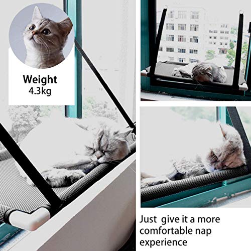 Afufu Ventana de Gato Cama de Hamaca, Cama Hamaca para Gato Estantes de Seguridad para Asientos de Descanso para Mascotas, Grandes para Tomar la Siesta y Tomar el Sol (Soportar hasta 10kg)