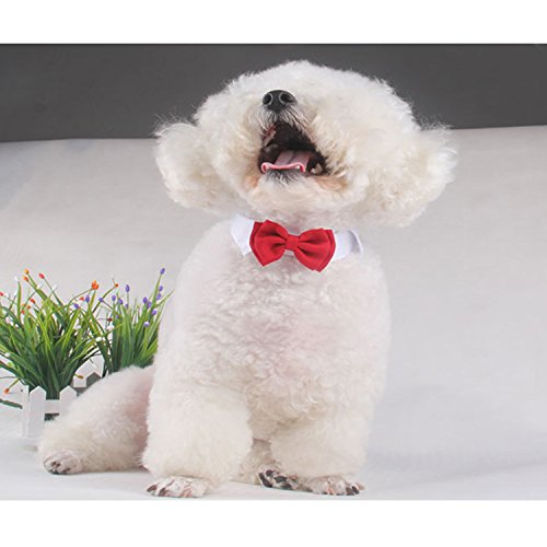 Ajustable formal perro de mascota de gato pajarita corbata traje de collar accesorios para fiesta de la boda de vacaciones Tamaño L 37cm 14.6 pulgadas de longitud