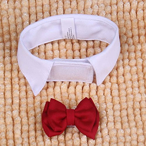 Ajustable formal perro de mascota de gato pajarita corbata traje de collar accesorios para fiesta de la boda de vacaciones Tamaño L 37cm 14.6 pulgadas de longitud