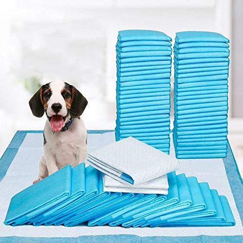 Alfombrilla higiénica de Entrenamiento para Perros,Almohadilla Sanitaria de Entrenamiento para mascotas-45 * 60 cm / 20 Piezas,Almohadillas De Entrenamiento De Perro Y Cachorro