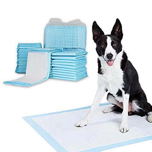 Alfombrilla higiénica de Entrenamiento para Perros,Almohadilla Sanitaria de Entrenamiento para mascotas-45 * 60 cm / 20 Piezas,Almohadillas De Entrenamiento De Perro Y Cachorro