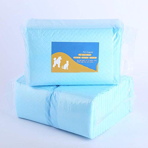 Alfombrilla higiénica de Entrenamiento para Perros,Almohadilla Sanitaria de Entrenamiento para mascotas-60 * 60cm / 40pcs,Almohadillas De Entrenamiento De Perro Y Cachorro