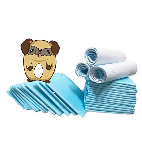 Alfombrilla higiénica de Entrenamiento para Perros,Almohadilla Sanitaria de Entrenamiento para Mascotas-S / 45 * 33cm / 100pcs,Almohadillas De Entrenamiento De Perro Y Cachorro