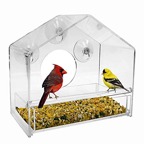 Alimentador de pájaros de ventana, Alimentadores de jaula de acrílico con ventosa, Todo diseño extraíble transparente Succión fuerte Fácil de limpiar, para patio interior al aire libre Balcón Pared