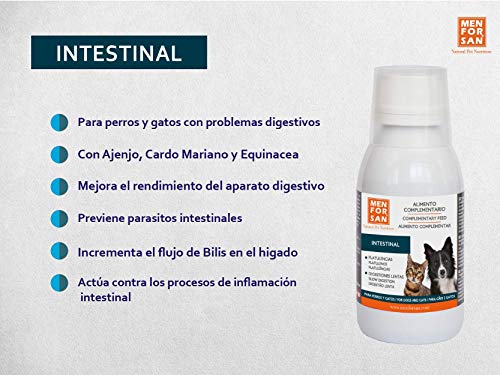 Alimento complementario líquido para perros y gatos intestinal | para animales con digestiones pesadas | Ingredientes naturales | Exceso de flatulencias, vómitos o cambios de apetito 120ml