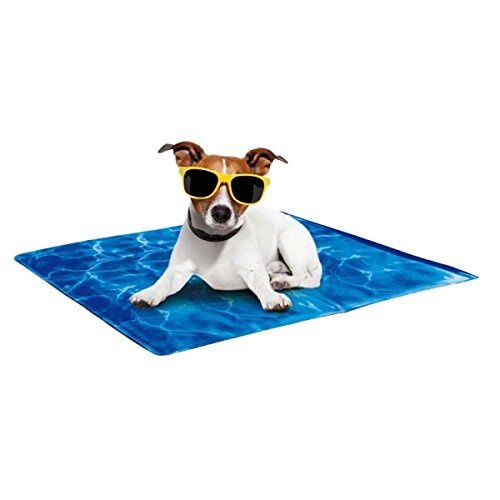 ALL FOR PAWS Manta Refrescante Chill out, Talla m, 50 x 40 cm