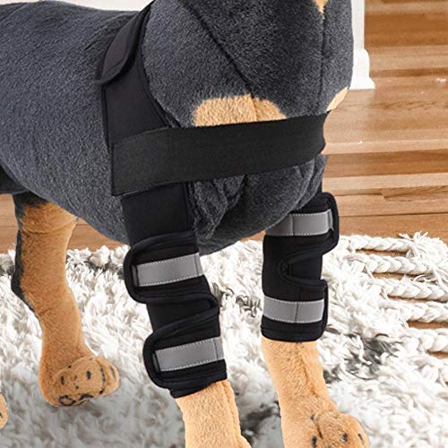 Almohadillas para las rodillas del animal doméstico Frenos para la pata delantera del perro con funda de soporte Pata canina reflexiva Envolturas de compresión Ayuda con lesiones de ligamentos (L)