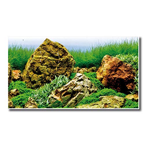 Amtra A8011573 Fondo Doble Vision Blister 45 x 100Cm