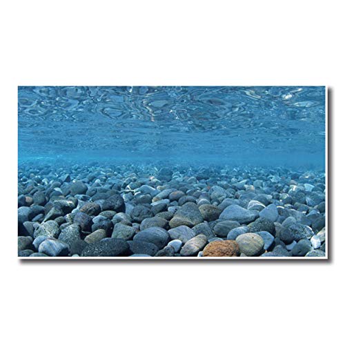 Amtra A8011573 Fondo Doble Vision Blister 45 x 100Cm