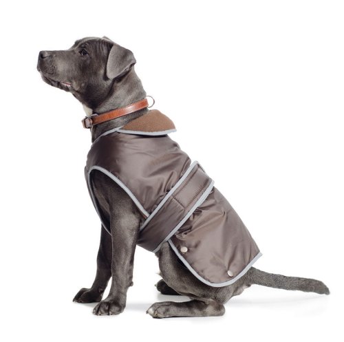 Ancol Muddy Paws Perros Chaqueta y protección Pecho