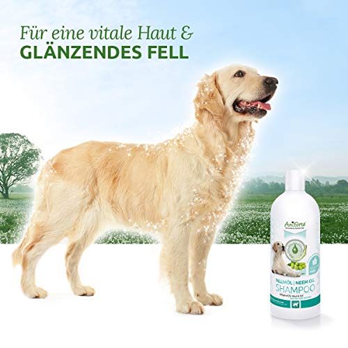 AniForte Aceite de Neem Champú 500ml - champú para perros sin fragancia, producto de cuidado para el picor, agradable para la piel, fácil de peinar, olor agradable