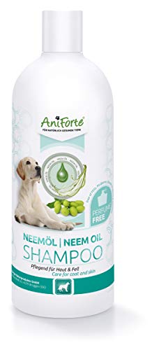 AniForte Aceite de Neem Champú 500ml - champú para perros sin fragancia, producto de cuidado para el picor, agradable para la piel, fácil de peinar, olor agradable