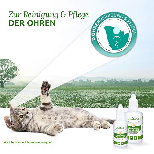 AniForte Aceite para el oído de para Perros, Gatos, Roedores 20ml - Cuidado de los ácaros del oído, ácaros de Las Gotas para el oído, Hongos de levadura, picor en el oído, Descarga