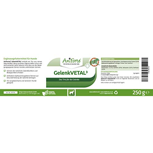 AniForte Gelenk-VETAL 3 Polvo para articulaciones para Perros 250g - Producto Natural, Polvo de mejillón de Labios Verdes, colágeno y raíz de Garra del Diablo, para Las articulaciones y el Movimiento