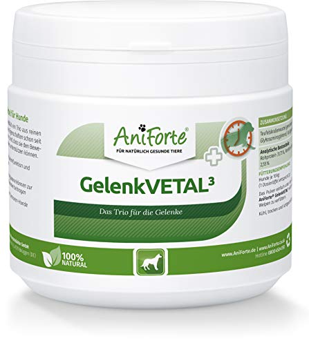 AniForte Gelenk-VETAL 3 Polvo para articulaciones para Perros 250g - Producto Natural, Polvo de mejillón de Labios Verdes, colágeno y raíz de Garra del Diablo, para Las articulaciones y el Movimiento