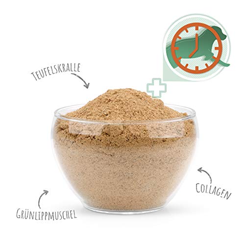 AniForte Gelenk-VETAL 3 Polvo para articulaciones para Perros 250g - Producto Natural, Polvo de mejillón de Labios Verdes, colágeno y raíz de Garra del Diablo, para Las articulaciones y el Movimiento