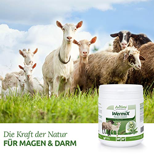 AniForte WermiX en Polvo para ovejas y Cabras 200g - Antes, Durante y después de la infestación de Gusanos con saponinas, sustancias amargas, taninos, ajenjo, armonizan el estómago y el intestino