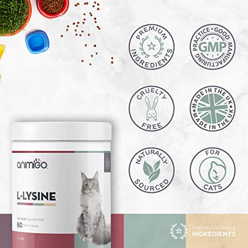 Animigo L-Lisina para Gatos | Suplemento Natural Inmunitario para la Defensa | L-Lisina, Levadura de Cerveza y Pectina Cítrica | Rico en Aminoácidos, Vitaminas y Minerales | 60 Cápsulas Masticables