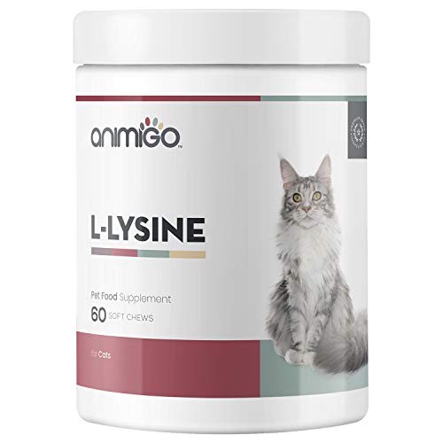 Animigo L-Lisina para Gatos | Suplemento Natural Inmunitario para la Defensa | L-Lisina, Levadura de Cerveza y Pectina Cítrica | Rico en Aminoácidos, Vitaminas y Minerales | 60 Cápsulas Masticables