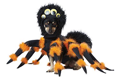 Aptafêtes - CS968955/L - Disfraz de araña para Perro - Talla L