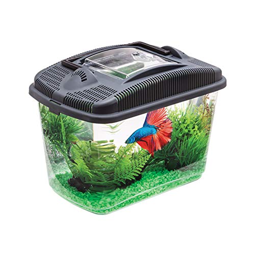 Aquael Betta Kit Acuario para Lucha Peces o Camarones Incluye Protectora