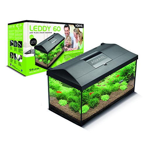 Aquael Leddy 60 Equipado con Acuario de 60 x 30 x 30 cm 54 L