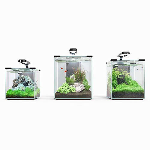 Aquatlantis Nano Cubic 30, Un Tamaño, Pack de 1