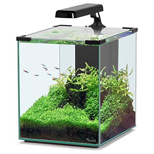 Aquatlantis Nano Cubic 30, Un Tamaño, Pack de 1